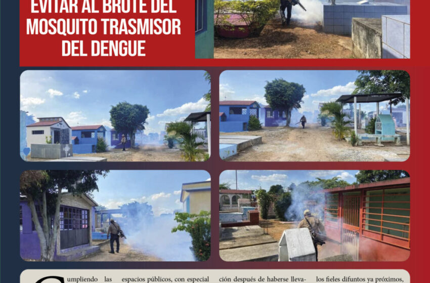  Centros educativos y panteones de Reforma, en etapa de Fumigación para evitar al brote del mosquito trasmisor del dengue