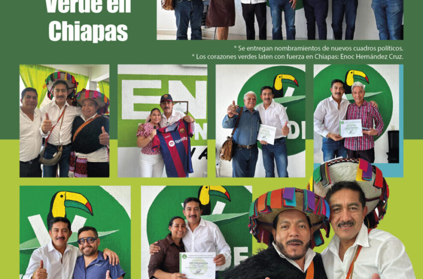  Se fortalece la estructura del Partido Verde en Chiapas